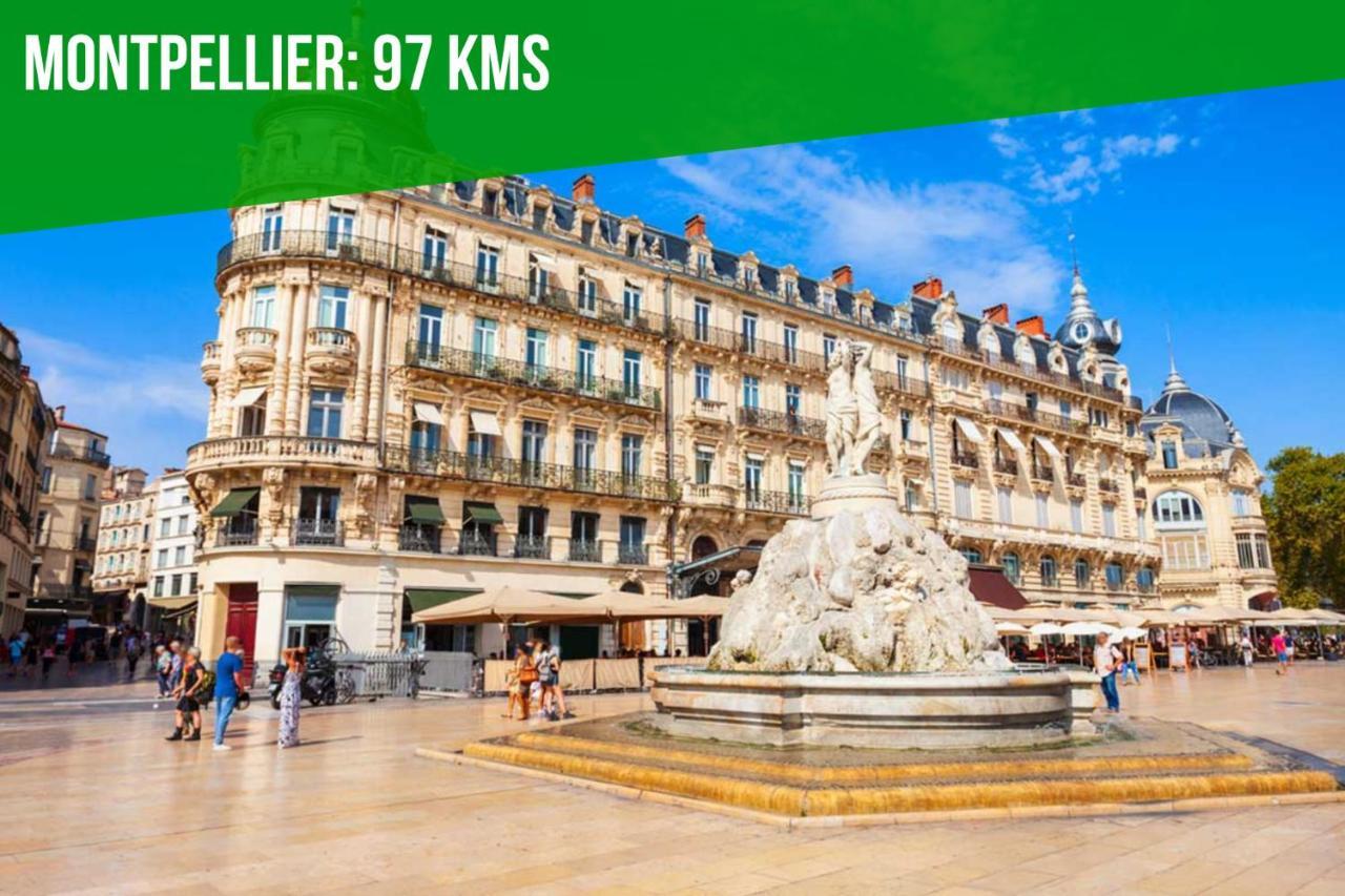 Apartamento Au Roi Rene - Ac Clim - Wifi Aviñón Exterior foto